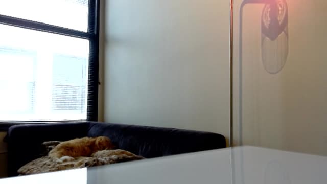 Gallery image thumbnail from Ivy__'s myfreecams stream on, 08/28/2024, 01:35 image 2 of 20