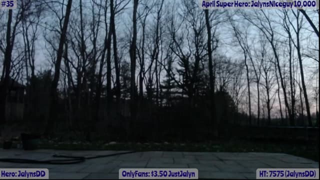 Gallery image thumbnail from Jalyn's myfreecams stream on, 04/12/2023, 01:01 image 19 of 20