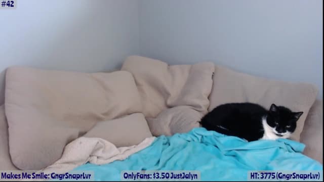 Gallery image thumbnail from Jalyn's myfreecams stream on, 04/19/2023, 24:02 image 2 of 20