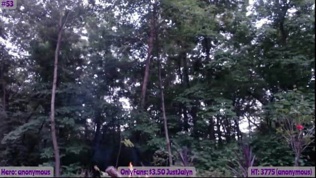 Gallery image thumbnail from Jalyn's myfreecams stream on, 06/10/2023, 01:58 image 7 of 20