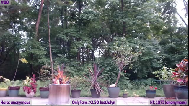 Gallery image thumbnail from Jalyn's myfreecams stream on, 06/14/2023, 23:40 image 19 of 20