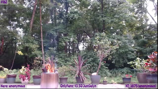 Gallery image thumbnail from Jalyn's myfreecams stream on, 06/14/2023, 23:40 image 10 of 20