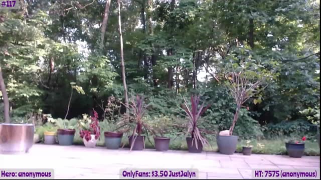 Gallery image thumbnail from Jalyn's myfreecams stream on, 06/23/2023, 24:03 image 7 of 20