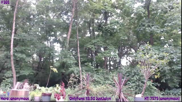 Gallery image thumbnail from Jalyn's myfreecams stream on, 06/23/2023, 24:03 image 18 of 20