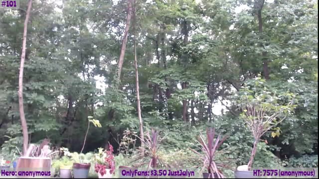 Gallery image thumbnail from Jalyn's myfreecams stream on, 06/23/2023, 01:10 image 9 of 20