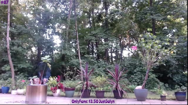 Gallery image thumbnail from Jalyn's myfreecams stream on, 07/18/2023, 01:16 image 13 of 20