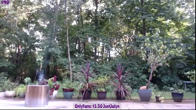 Gallery image thumbnail from Jalyn's myfreecams stream on, 07/21/2023, 23:35 image 18 of 20