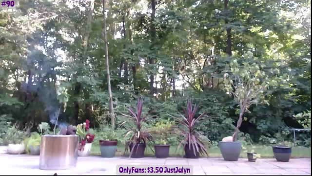 Gallery image thumbnail from Jalyn's myfreecams stream on, 07/21/2023, 23:35 image 15 of 20