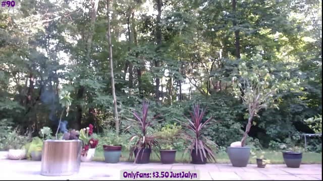 Gallery image thumbnail from Jalyn's myfreecams stream on, 07/21/2023, 23:35 image 16 of 20