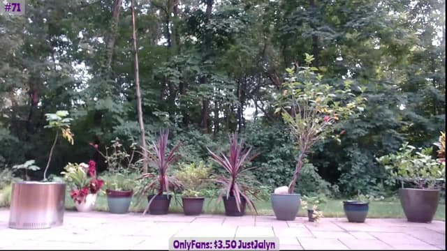 Gallery image thumbnail from Jalyn's myfreecams stream on, 07/24/2023, 23:13 image 13 of 20