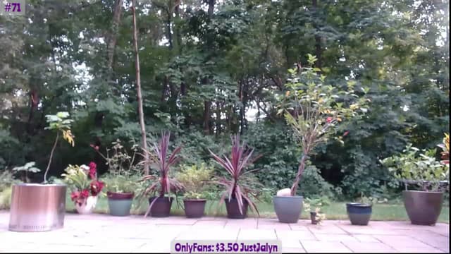 Gallery image thumbnail from Jalyn's myfreecams stream on, 07/24/2023, 23:13 image 12 of 20