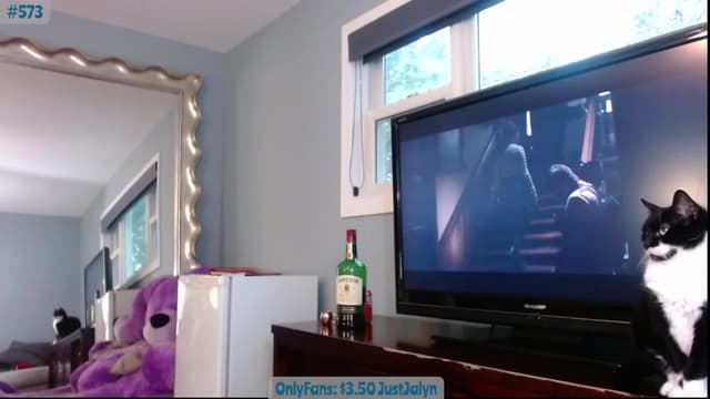 Gallery image thumbnail from Jalyn's myfreecams stream on, 09/15/2023, 01:02 image 3 of 20