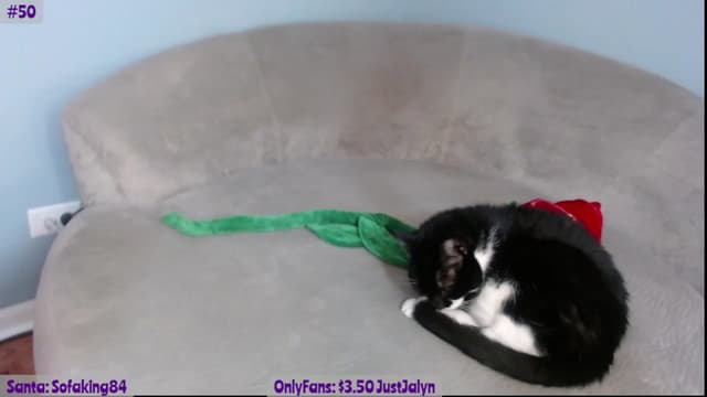 Gallery image thumbnail from Jalyn's myfreecams stream on, 12/22/2023, 01:48 image 17 of 20