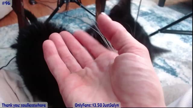 Gallery image thumbnail from Jalyn's myfreecams stream on, 01/10/2024, 01:53 image 10 of 20