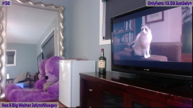 Gallery image thumbnail from Jalyn's myfreecams stream on, 01/13/2024, 01:10 image 5 of 20