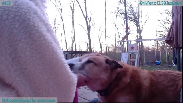Gallery image thumbnail from Jalyn's myfreecams stream on, 04/13/2024, 24:29 image 20 of 20
