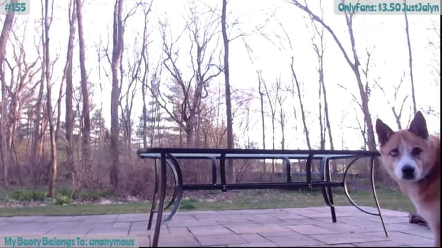 Gallery image thumbnail from Jalyn's myfreecams stream on, 04/13/2024, 24:29 image 6 of 20