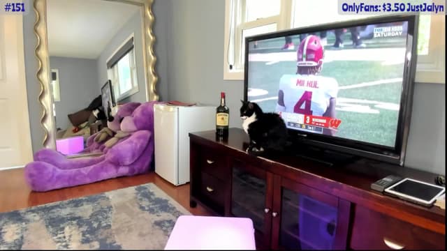 Gallery image thumbnail from Jalyn's myfreecams stream on, 09/14/2024, 18:17 image 9 of 20