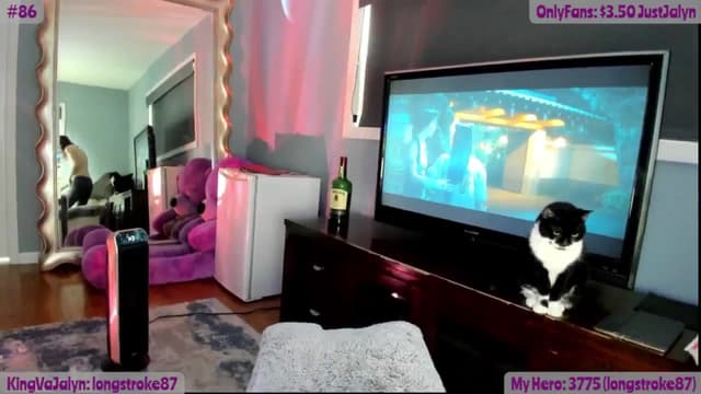 Gallery image thumbnail from Jalyn's myfreecams stream on, 02/02/2025, 17:12 image 13 of 20