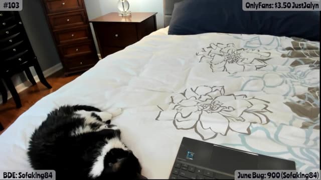 Gallery image thumbnail from Jalyn's myfreecams stream on, 06/08/2025, 21:54 image 19 of 20