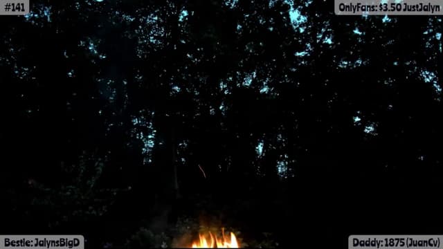 Gallery image thumbnail from Jalyn's myfreecams stream on, 08/06/2025, 03:01 image 6 of 20