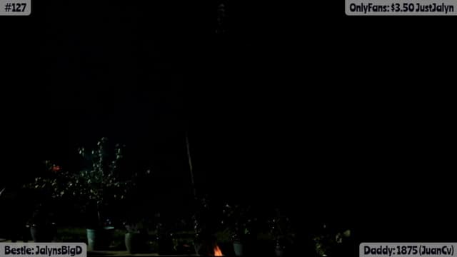 Gallery image thumbnail from Jalyn's myfreecams stream on, 08/06/2025, 03:01 image 17 of 20