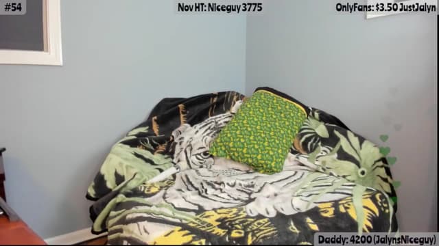 Gallery image thumbnail from Jalyn's myfreecams stream on, 11/16/2025, 03:05 image 18 of 20