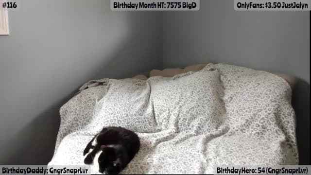 Gallery image thumbnail from Jalyn's myfreecams stream on, 05/06/2026, 19:05 image 7 of 20