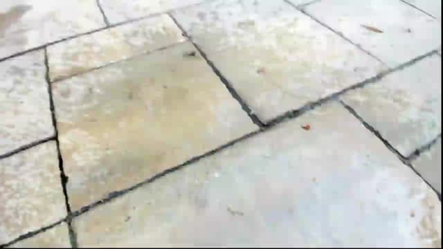 Gallery image thumbnail from Jalyn's myfreecams stream on, 06/13/2026, 24:01 image 15 of 20