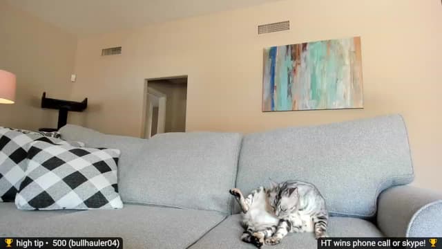 Gallery image thumbnail from Jayne's myfreecams stream on, 11/28/2022, 19:43 image 11 of 20