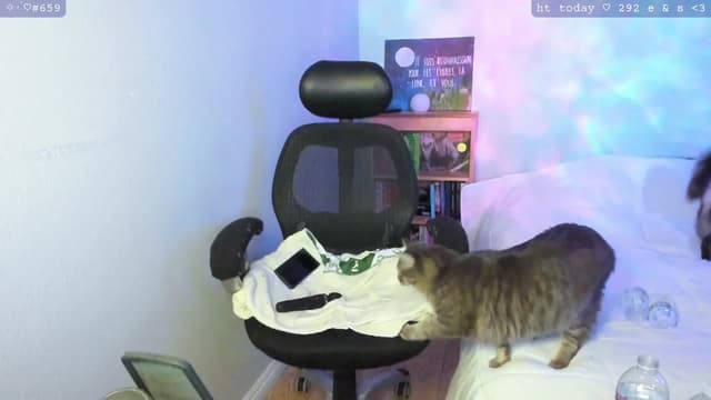 Gallery image thumbnail from Kirby's myfreecams stream on, 02/18/2024, 02:45 image 19 of 20