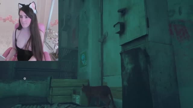 Gallery image thumbnail from Kitty's myfreecams stream on, 02/25/2023, 07:41 image 6 of 20