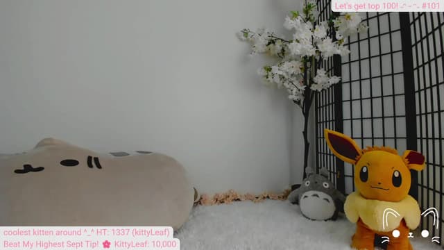 Gallery image thumbnail from Kitty's myfreecams stream on, 09/30/2023, 06:54 image 12 of 20
