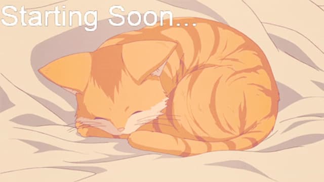 Gallery image thumbnail from Kitty's myfreecams stream on, 11/18/2023, 05:02 image 3 of 20