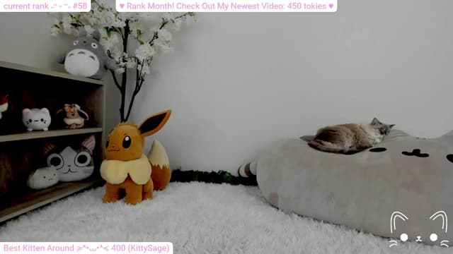 Gallery image thumbnail from Kitty's myfreecams stream on, 02/11/2024, 05:49 image 9 of 20