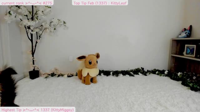 Gallery image thumbnail from Kitty's myfreecams stream on, 02/15/2025, 09:36 image 11 of 20