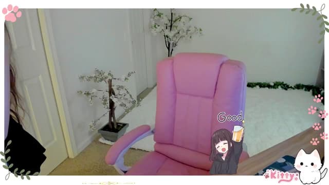 Gallery image thumbnail from Kitty's myfreecams stream on, 02/19/2025, 03:19 image 19 of 20