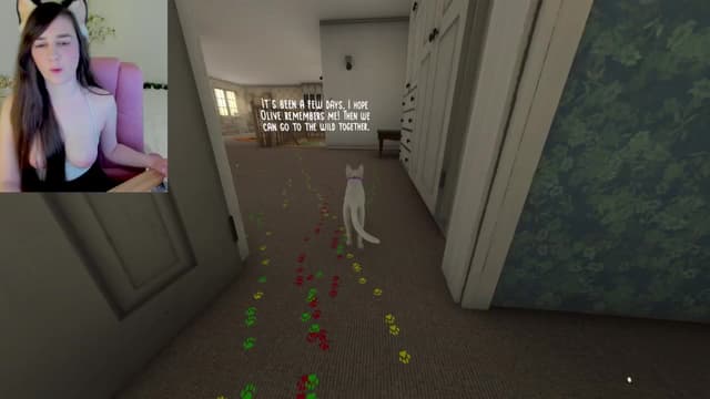 Gallery image thumbnail from Kitty's myfreecams stream on, 02/19/2025, 06:19 image 12 of 20