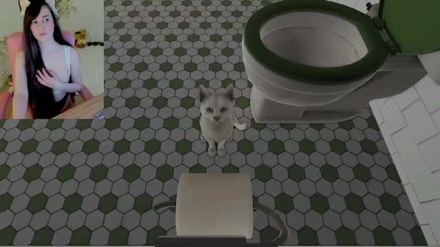 Gallery image thumbnail from Kitty's myfreecams stream on, 02/20/2025, 07:53 image 14 of 20