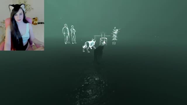 Gallery image thumbnail from Kitty's myfreecams stream on, 02/20/2025, 07:53 image 13 of 20