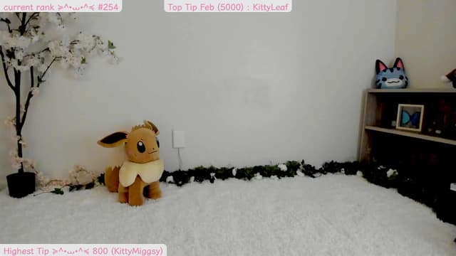 Gallery image thumbnail from Kitty's myfreecams stream on, 02/23/2025, 08:28 image 7 of 20