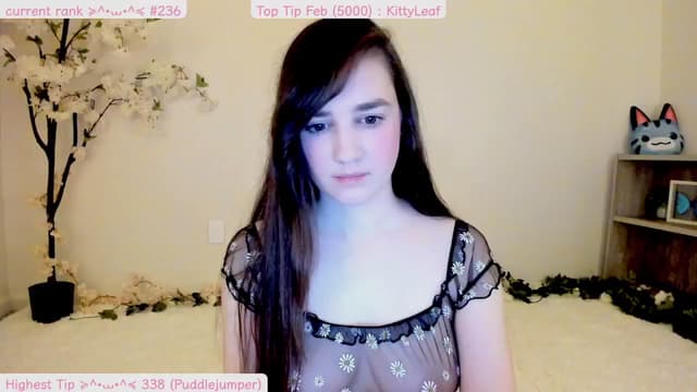 Gallery image thumbnail from Kitty's myfreecams stream on, 02/28/2025, 08:21 image 4 of 20