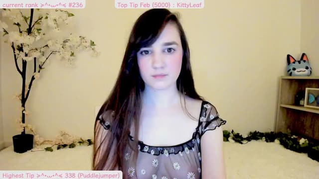 Gallery image thumbnail from Kitty's myfreecams stream on, 02/28/2025, 08:21 image 3 of 20
