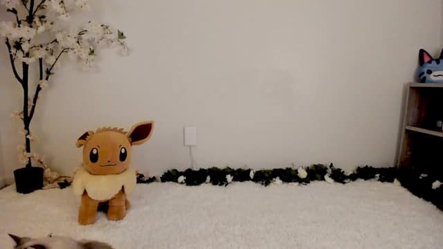 Gallery image thumbnail from Kitty's myfreecams stream on, 03/07/2025, 06:25 image 17 of 20