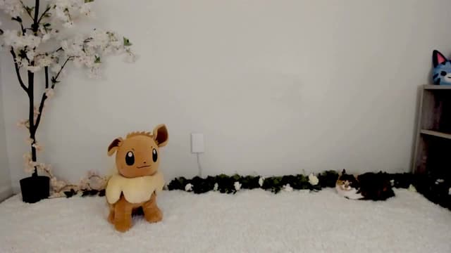 Gallery image thumbnail from Kitty's myfreecams stream on, 03/08/2025, 08:22 image 3 of 20