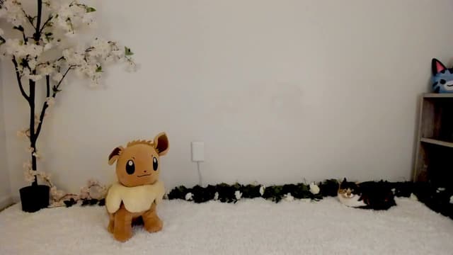 Gallery image thumbnail from Kitty's myfreecams stream on, 03/08/2025, 08:22 image 2 of 20