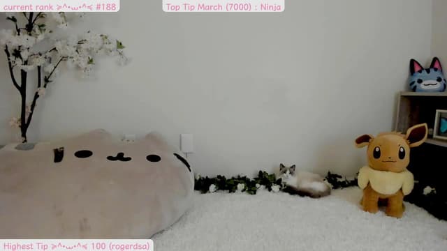 Gallery image thumbnail from Kitty's myfreecams stream on, 03/21/2025, 08:18 image 2 of 20