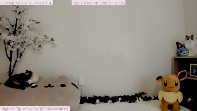 Gallery image thumbnail from Kitty's myfreecams stream on, 03/24/2025, 06:47 image 3 of 20