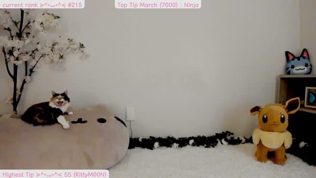 Gallery image thumbnail from Kitty's myfreecams stream on, 03/24/2025, 06:47 image 2 of 20
