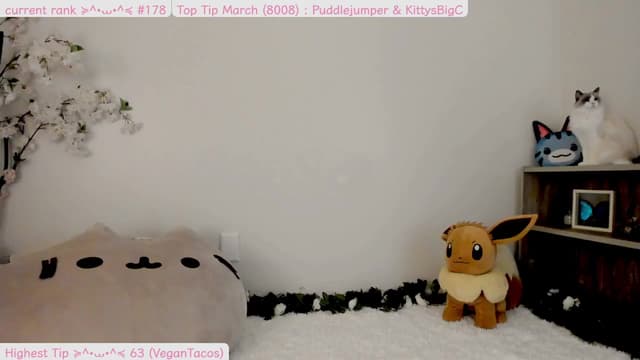 Gallery image thumbnail from Kitty's myfreecams stream on, 03/31/2025, 06:03 image 3 of 20